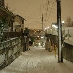IMGP0107
